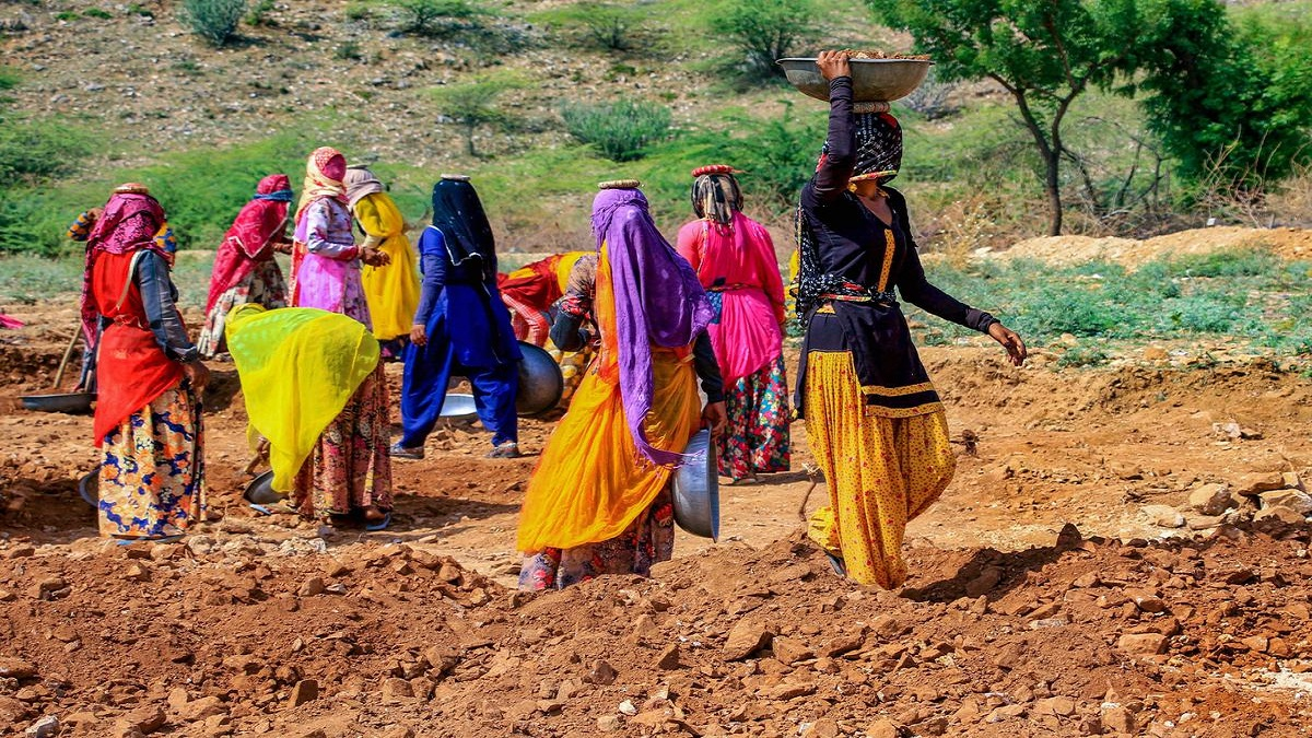 मनरेगा क्या है मनरेगा क्या है