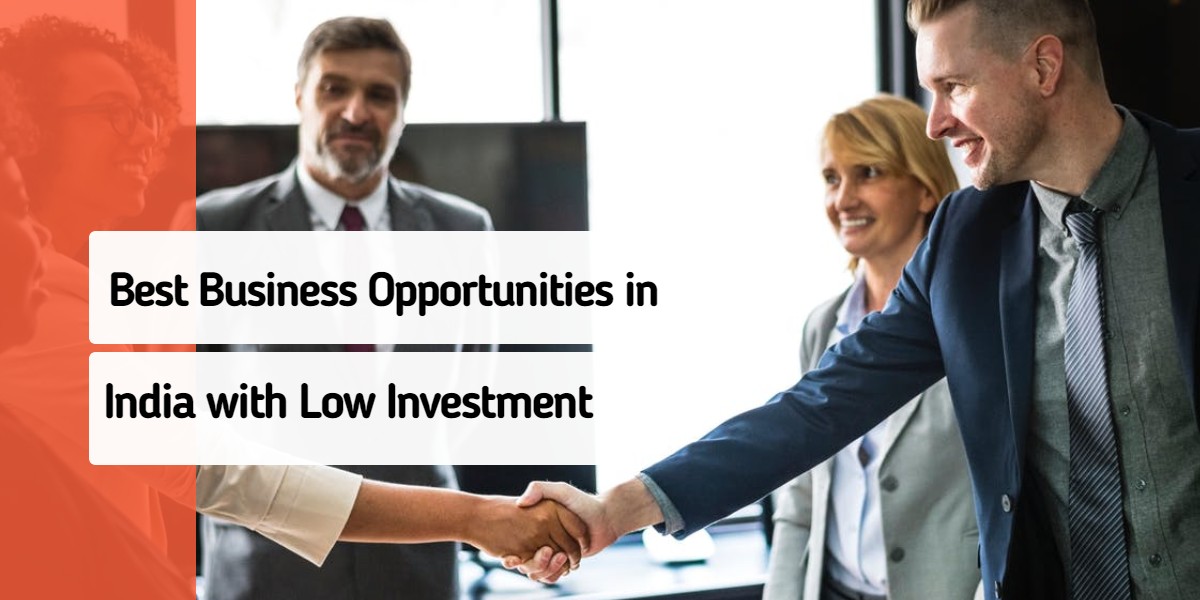 Best Business Opportunities in India with Low Investment