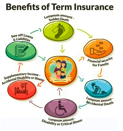 Life Insurance Plans