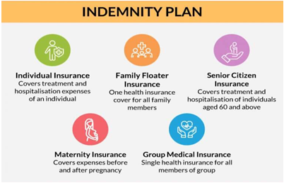 Indemnity Plans