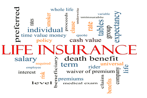 Life Insurance Plans